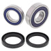 ALL BALLS RACING WHEEL BEARING KIT - Driven Powersports Inc.72398041558825-1689