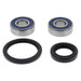 ALL BALLS RACING WHEEL BEARING KIT - Driven Powersports Inc.25 - 1761