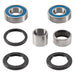 ALL BALLS RACING WHEEL BEARING KIT - Driven Powersports Inc.25 - 1789