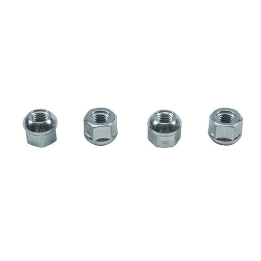 ALL BALLS RACING WHEEL NUT KIT - Driven Powersports Inc.72398044807485-1255