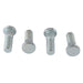 ALL BALLS RACING WHEEL NUT KIT - Driven Powersports Inc.72398044814285-1262