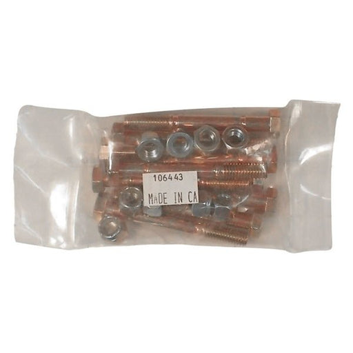 BERCOMAC Security bolt (screws) - Driven Powersports Inc.9999999988106443