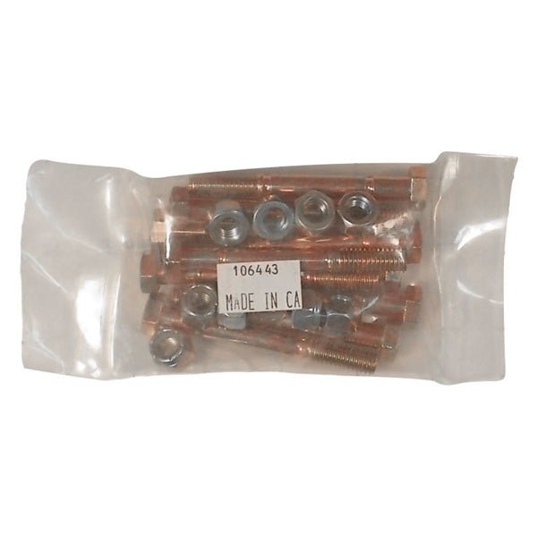 BERCOMAC Security bolt (screws) - Driven Powersports Inc.9999999988106443