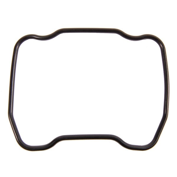 BRPEVINRUDE EXHAUST GASKET (911831) - Driven Powersports Inc.9999999989911831