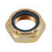 BRPEVINRUDE LOCK NUT (323599) - Driven Powersports Inc.99999989323599