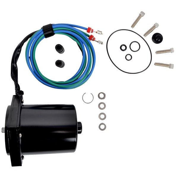 BRPEVINRUDE MOTOR AND O - RING KIT (5006319) - Driven Powersports Inc.7319578914575006319