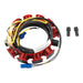 BRPEVINRUDE STATOR (583668) - Driven Powersports Inc.745419101800583668