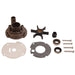 BRPEVINRUDE WATER PUMP KIT (382296) - Driven Powersports Inc.745419009106382296