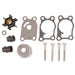 BRPEVINRUDE WATER PUMP REPAIR KIT (396644) - Driven Powersports Inc.745419012038396644