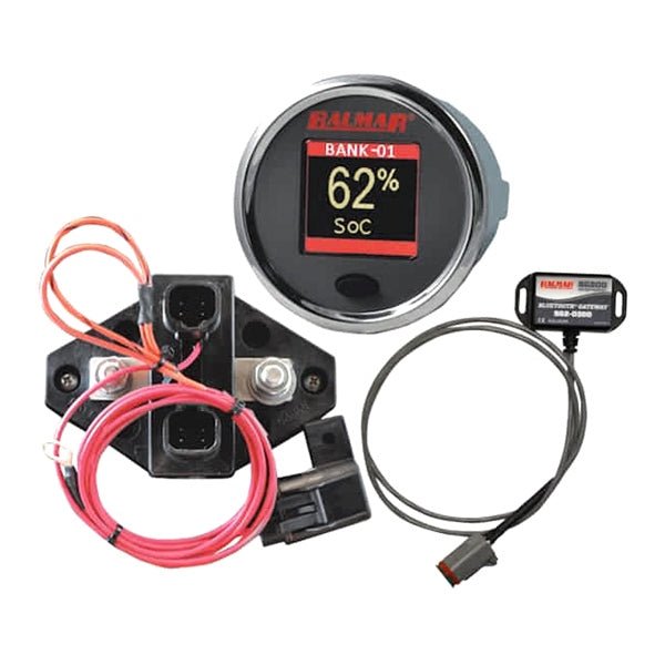 CDI BATTERY MONITOR SG200 (SG210) - Driven Powersports Inc.676205502450SG210