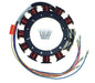 CDI STATOR (174-8778K 1) - Driven Powersports Inc.736983852472174-8778K 1