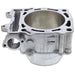 CYLINDER WORKS STANDARD BORE CYLINDER (CW20012) - Driven Powersports Inc.714205040005CW20012