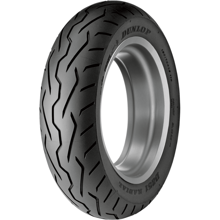 DUNLOP D251 TIRE 180/55R17 (73V) - REAR - Driven Powersports Inc.45002876