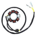 ELECTROSPORT STATOR - Driven Powersports Inc.799804162136ESG115