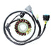 ELECTROSPORT STATOR - Driven Powersports Inc.799804155220ESG301