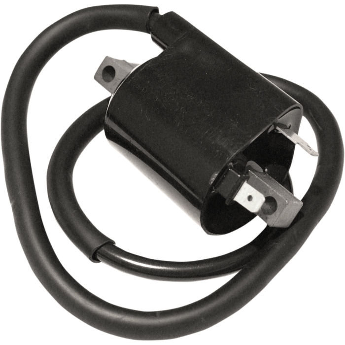 EMGO IGNITION COIL - Driven Powersports Inc.24-72403