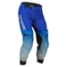 FLY RACING EVOLUTION DST PANTS - Driven Powersports Inc.191361346347376-13230