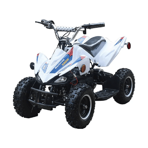 GIO MANTERAY X ATV E-QUAD - Driven Powersports Inc.GMXS20
