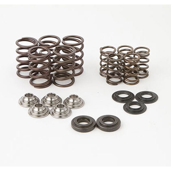 HOT CAMS VALVE SPRING KIT - Driven Powersports Inc.714205047394SKYFM660S2