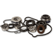 HOT RODS WATER PUMP REBUILD KIT - Driven Powersports Inc.WPK0001