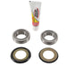 PIVOT WORKS STEERING STEM BEARING KIT - Driven Powersports Inc.PWSSK - H21 - 000