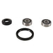 PIVOT WORKS WHEEL BEARING KIT (PWFWK - H40 - 100) - Driven Powersports Inc.PWFWK - H40 - 100