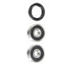 PIVOT WORKS WHEEL BEARING KIT (PWRWK - H43 - 100) - Driven Powersports Inc.PWRWK - H43 - 100