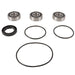 PIVOT WORKS WHEEL BEARING KIT (PWRWK - Y45 - 000) - Driven Powersports Inc.PWRWK - Y45 - 000