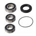 PIVOT WORKS WHEEL BEARING KIT (PWRWS - H56 - 000) - Driven Powersports Inc.PWRWS - H56 - 000PWRWS - H56 - 000