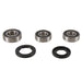 PIVOT WORKS WHEEL BEARING KIT (PWRWS - S16 - 000) - Driven Powersports Inc.PWRWS - S16 - 000