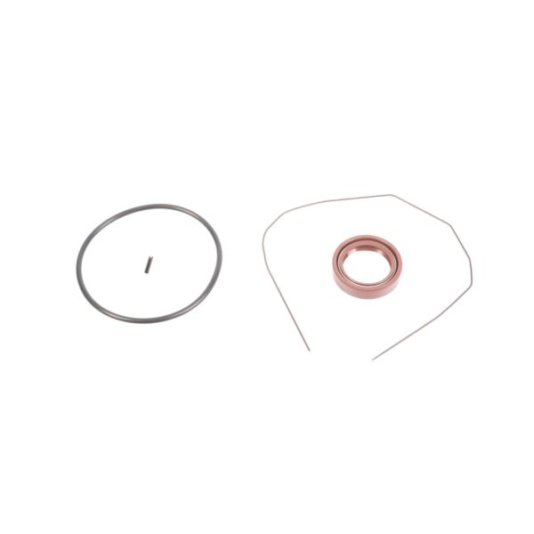 SIERRA GASKET KIT (18 - 3893) - Driven Powersports Inc.80828218874018 - 3893