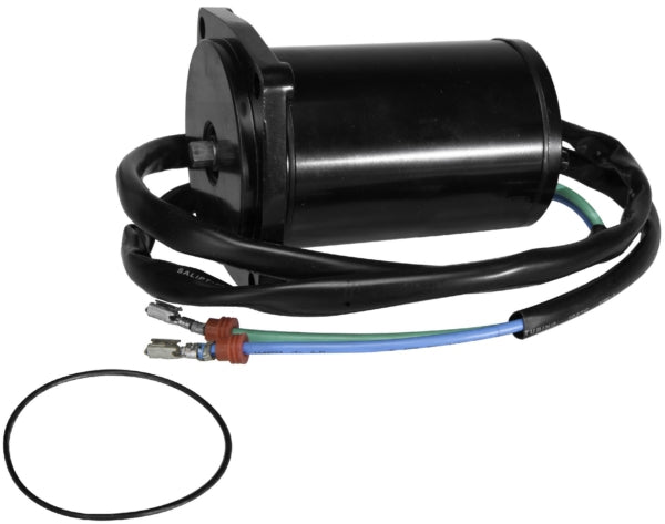 SIERRA JOHNSON/EVINRUDETRIM MOTOR (18 - 6815) - Driven Powersports Inc.80828231098118 - 6815