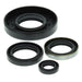 VERTEX OIL SEAL KIT - Driven Powersports Inc.714205821697822169