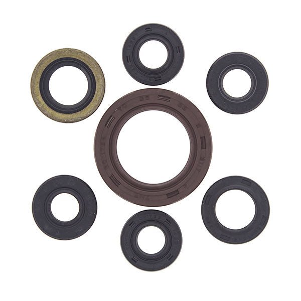 VERTEX OIL SEAL KIT - Driven Powersports Inc.714205822014822201