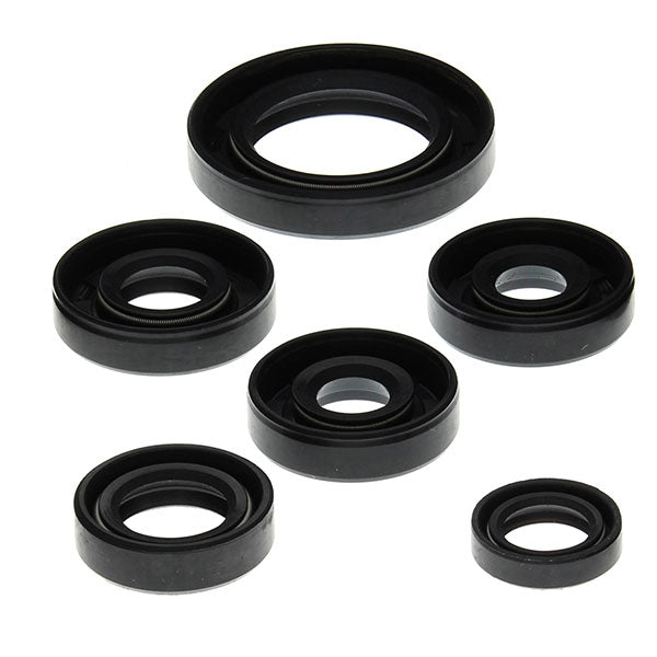 VERTEX OIL SEAL KIT - Driven Powersports Inc.714205822038822203