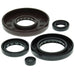 VERTEX OIL SEAL KIT - Driven Powersports Inc.714205822106822210