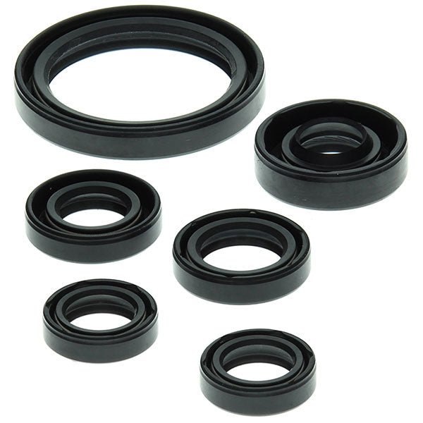 VERTEX OIL SEAL KIT - Driven Powersports Inc.714205822380822238