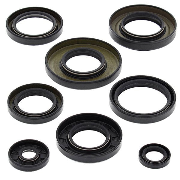 VERTEX OIL SEAL KIT - Driven Powersports Inc.714205822533822253