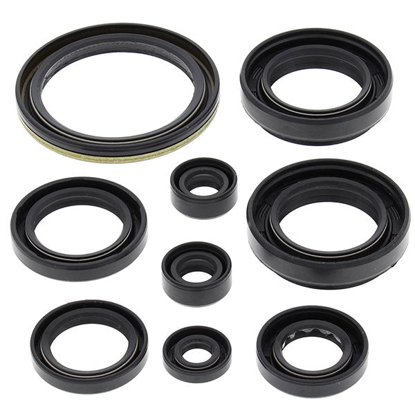 VERTEX OIL SEAL KIT - Driven Powersports Inc.714205010077822259