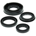 VERTEX OIL SEAL KIT - Driven Powersports Inc.714205010084822261