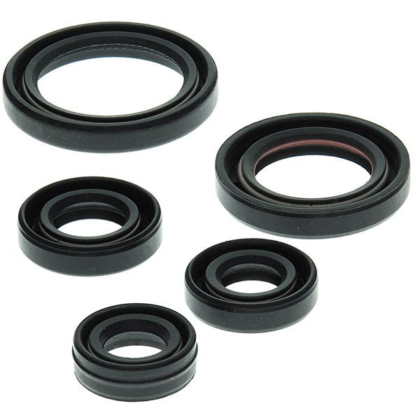 VERTEX OIL SEAL KIT - Driven Powersports Inc.714205822632822263