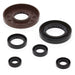 VERTEX OIL SEAL KIT - Driven Powersports Inc.714205822762822276