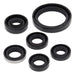 VERTEX OIL SEAL KIT - Driven Powersports Inc.714205823349822334