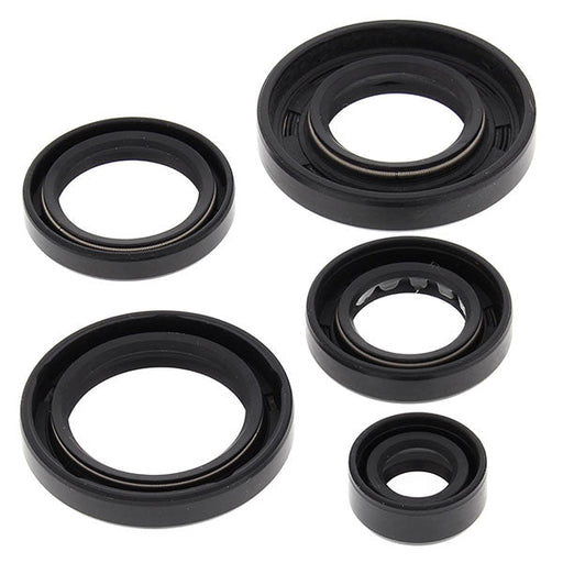 VERTEX OIL SEAL KIT - Driven Powersports Inc.714205823431822343