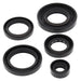 VERTEX OIL SEAL KIT - Driven Powersports Inc.714205823431822343